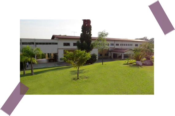 Ativo 19